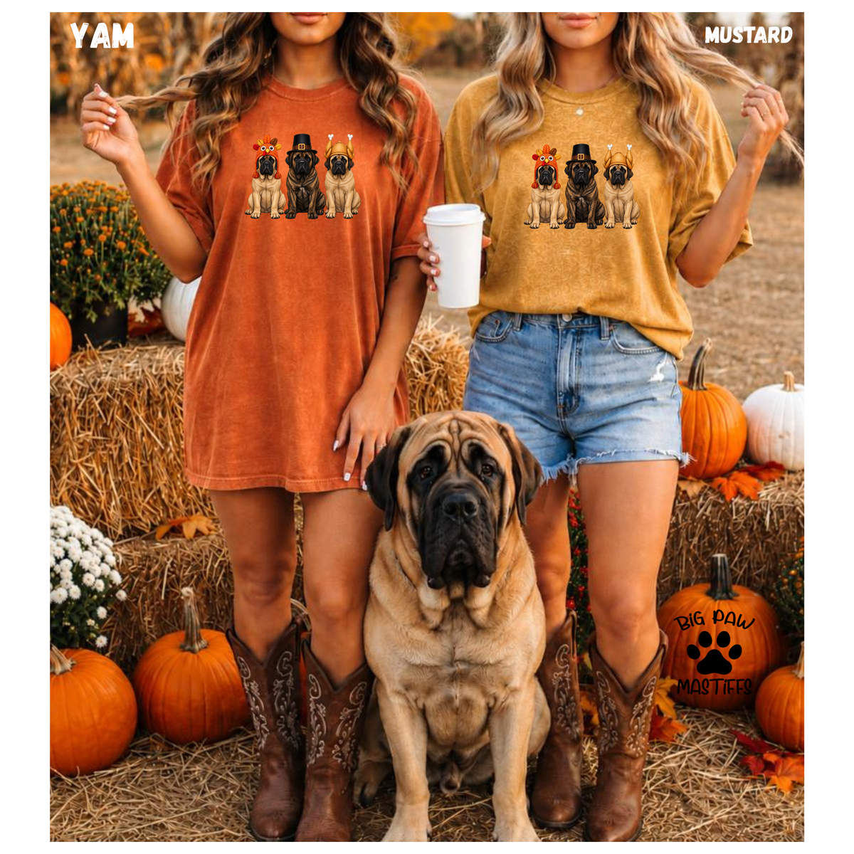 Mastiff Thanksgiving Dress Up